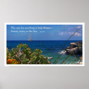 Poster da ilha da cura de água salgada