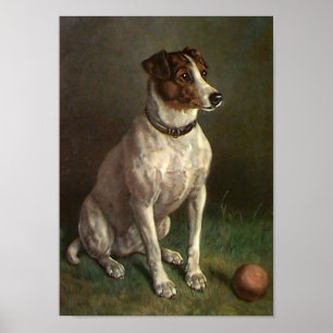 Poster da imagem do cão do vintage
