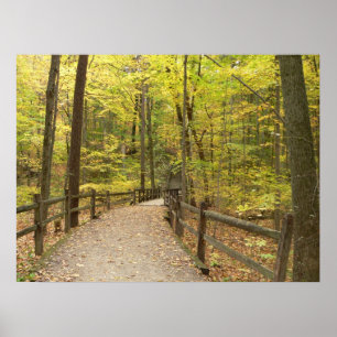 Poster da Intimidade do outono