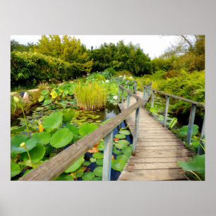 Poster da lagoa do lírio
