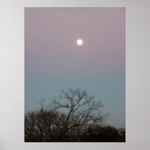 poster da lua do sol