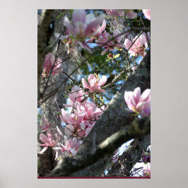 Poster da Magnolia Japonesa - 24x36 - outros taman