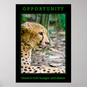 Poster da oportunidade