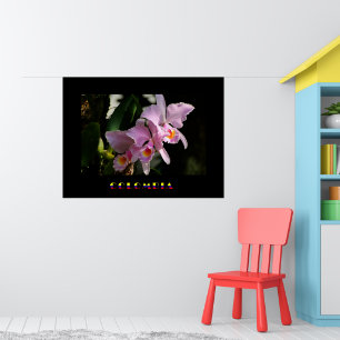 Poster da orquídea de Cattleya