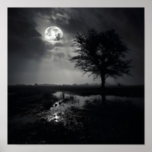 Poster da paisagem da Lua Nó branca e Negra