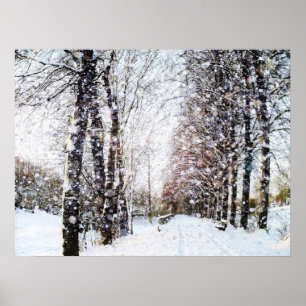 Poster da paisagem da neve