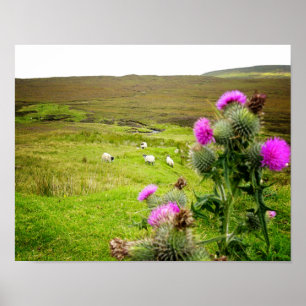Poster da paisagem do cardo das montanhas de