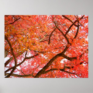 Poster da paisagem do impressão das árvores de