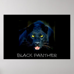 Poster da pantera preta
