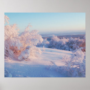 Poster da Parede Natureza da Paisagem da Neve Inve