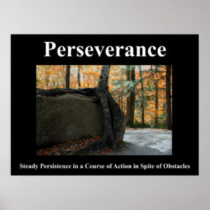 Poster da perseverança