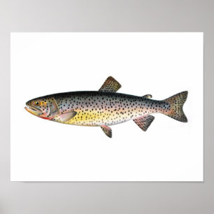 Poster da pesca - peixe da truta de Tahoe