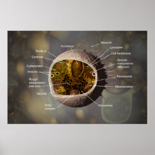 Poster da pilha humana