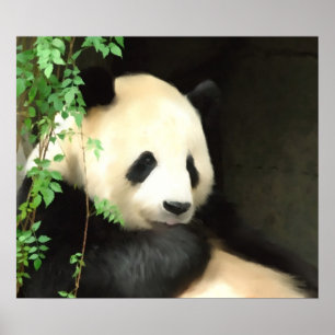 Poster da pintura da panda
