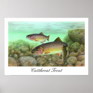 Poster da pintura da truta de Cutthroat