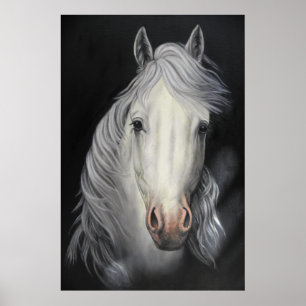 poster da pintura do garanhão do cavalo branco