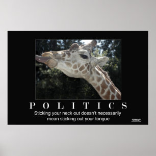 Poster da política