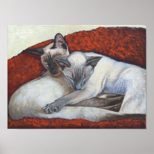 Póster Da "poster da arte do gato de Simaese da sesta