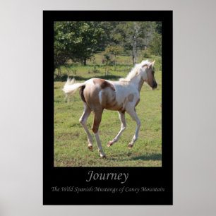 Póster Da "poster do dançarino lua" - viagem