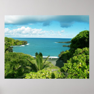 Poster da praia de Maui