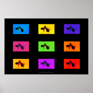 Poster da quiroterapia: Funk das vértebras