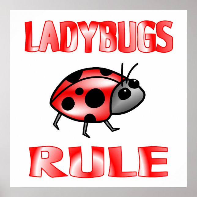 POSTER DA REGRA DE LADYBUGS (Frente)