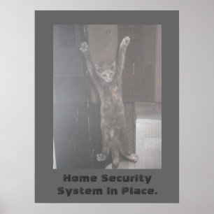 Poster da segurança do gato