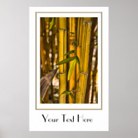 Poster da selva de bambu pacífica