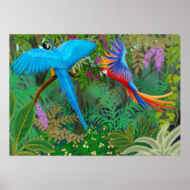 Poster da selva de macaw (Frente)