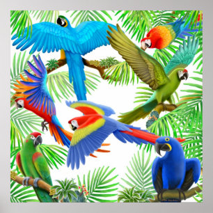 Poster da selva do Macaw