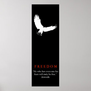 Poster da Silhueta Balde de Águia Branca Preta