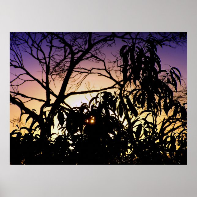 Poster da silhueta da natureza (Frente)