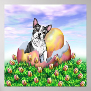 Poster da surpresa da páscoa de Boston Terrier