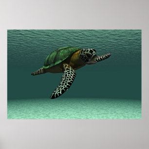 Poster da tartaruga de mar