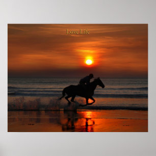 poster da vida do amor