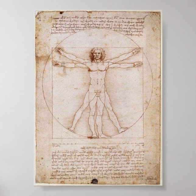 Póster Da Vinci: Homem Vitruviano (Frente)
