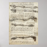 Da Vinci, Leonardo - Estudo da Anatomia