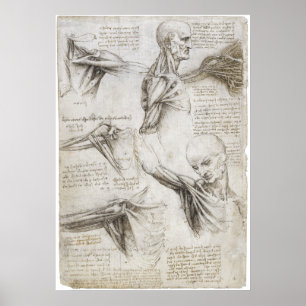 Póster Da Vinci, Leonardo - estudo da anatomia