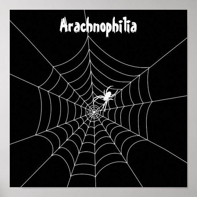 Poster da Web Spider (Frente)