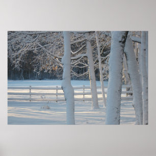 Poster da Wonderland de inverno