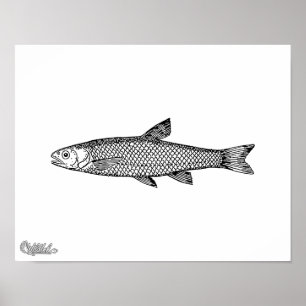 Póster Dace