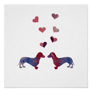 Póster Dachshances
