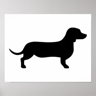 Póster Dachshund