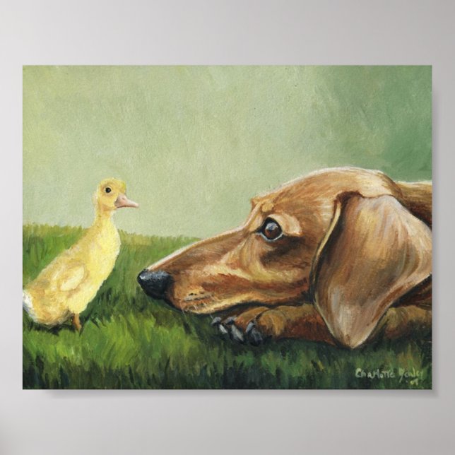 Póster "Dachshund and Ducking" Canvas de Arte Canina (Frente)
