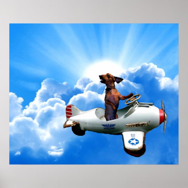 Poster "Dachshund Aviator" por Zermeno (Frente)