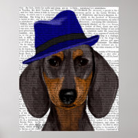 Dachshund com Blue Trilby