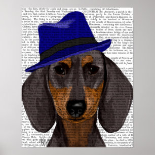 Póster Dachshund Com Trilho Azul