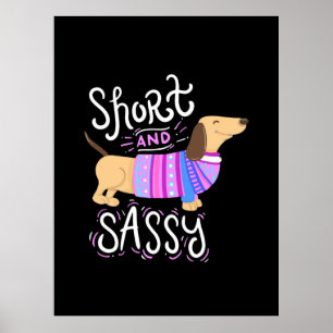 Poster Dachshund Curto E Sassado