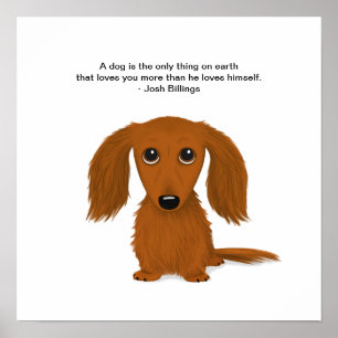 Poster Dachshund de cabelos compridos com citações dos