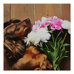 Póster Dachshund Deitado No Chão De Madeira